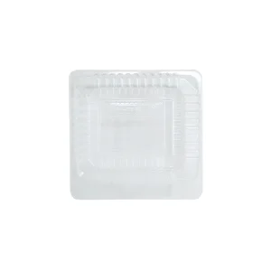 Contenedor con bisagra #1414