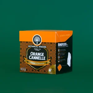 Tés Orange Cannelle - Botanical Wisdom - 20 Piezas