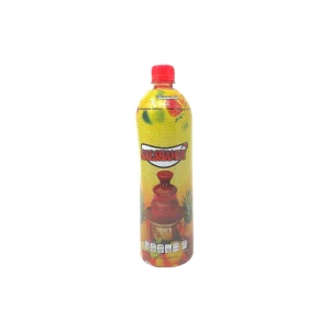 Salshamoy - Chilo Gogos - 1 L