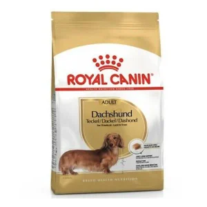 Royal Canin Mini Breed Daschund