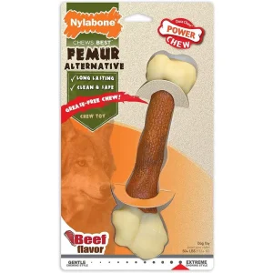 Nylabone Juguete Forma De Femur Sabor Carne
