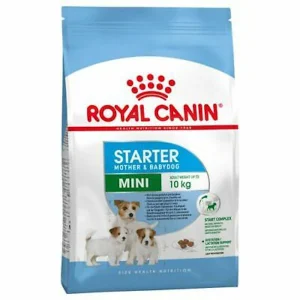 Royal Canin Shn Mini Starter Mother 6 Baby Dog 1K
